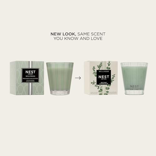 NEST New York Wild Mint Eucalyptus Jar Candle