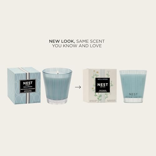 NEST New York Scented Jar Candle - Driftwood Chamomile