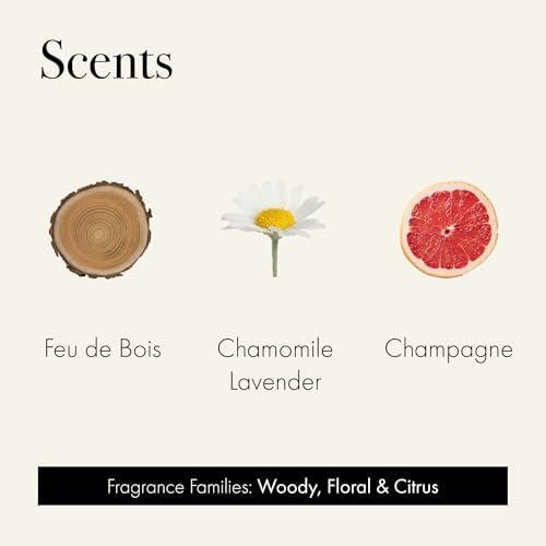 LAFCO New York Discovery Trio Candle Samples