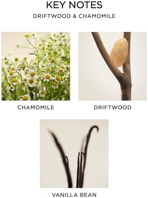 NEST New York Scented Jar Candle - Driftwood Chamomile