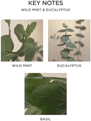 NEST New York Wild Mint Eucalyptus Jar Candle