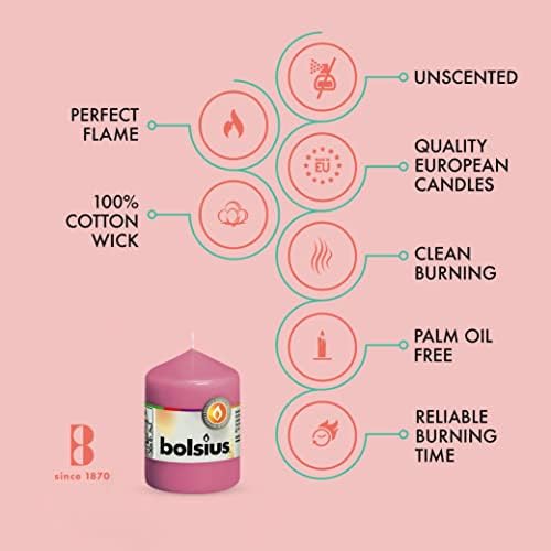 BOLSIUS 10 Pink Pillar Candles - 17 Hour Burn Time