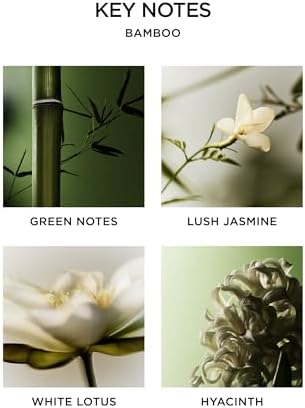 NEST New York Scented Candle in Bamboo Jar