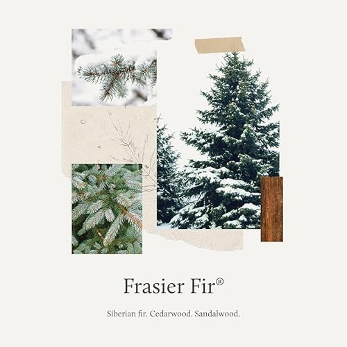 Thymes Frasier Fir Candle Tin with Gold Lid 65 oz