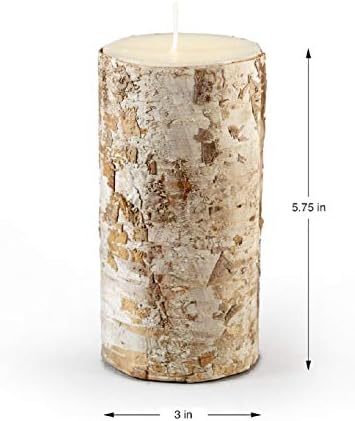 Serene Spaces Living Birch Bark Candle Set of 3