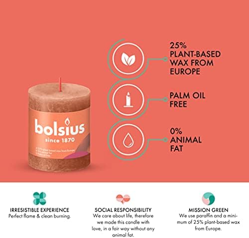 BOLSIUS 4 Pack Rusty Pink Pillar Candles