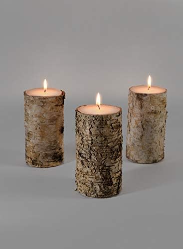Serene Spaces Living Birch Bark Candle Set of 3