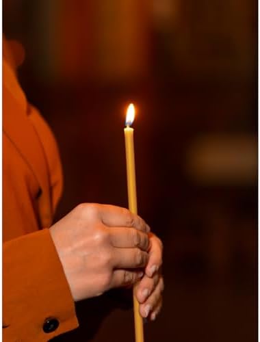 CANDWAX 50 Pack Yellow Taper Candles 7 Inch