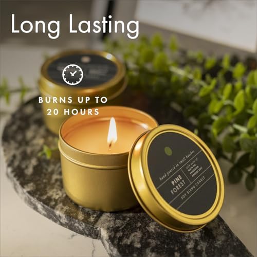 ScentAir Tin Candle 3 oz - Sage Pomegranate