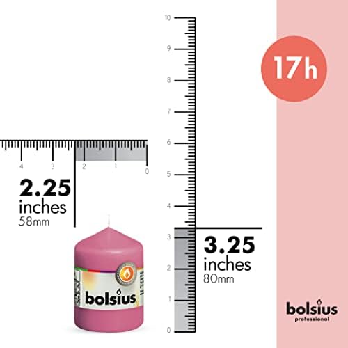 BOLSIUS 10 Pink Pillar Candles - 17 Hour Burn Time