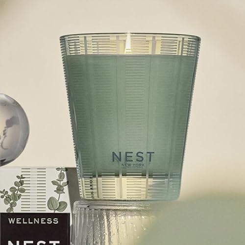 NEST New York Wild Mint Eucalyptus Jar Candle