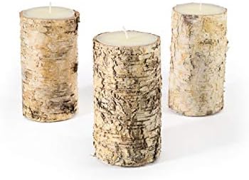 Serene Spaces Living Birch Bark Candle Set of 3