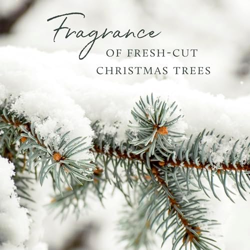 Thymes Frasier Fir Candle Tin with Gold Lid 65 oz