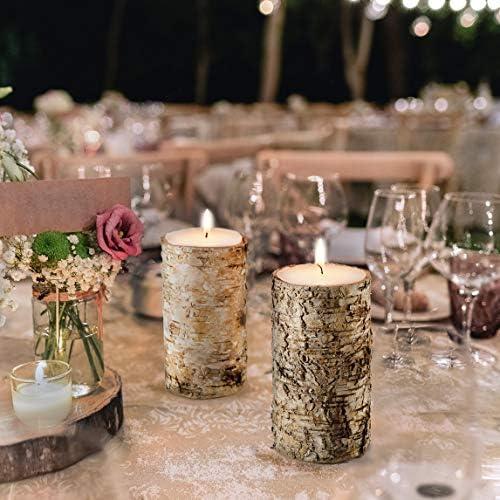 Serene Spaces Living Birch Bark Candle Set of 3
