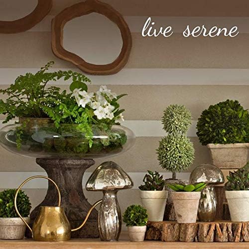 Serene Spaces Living Birch Bark Candle Set of 3