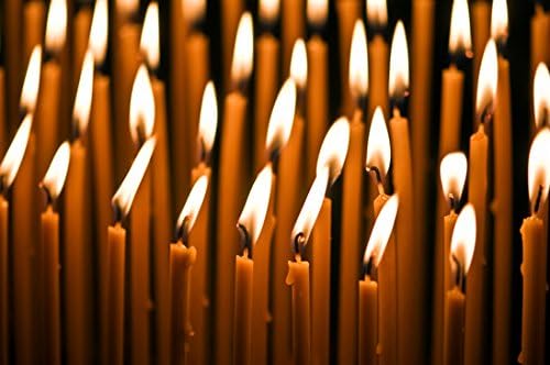 100 Pure Beeswax Taper Candles Set of 24