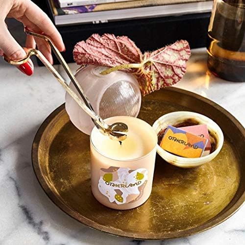 Vifoulal Candle Wick Trimmer with Built-in Debris Tray