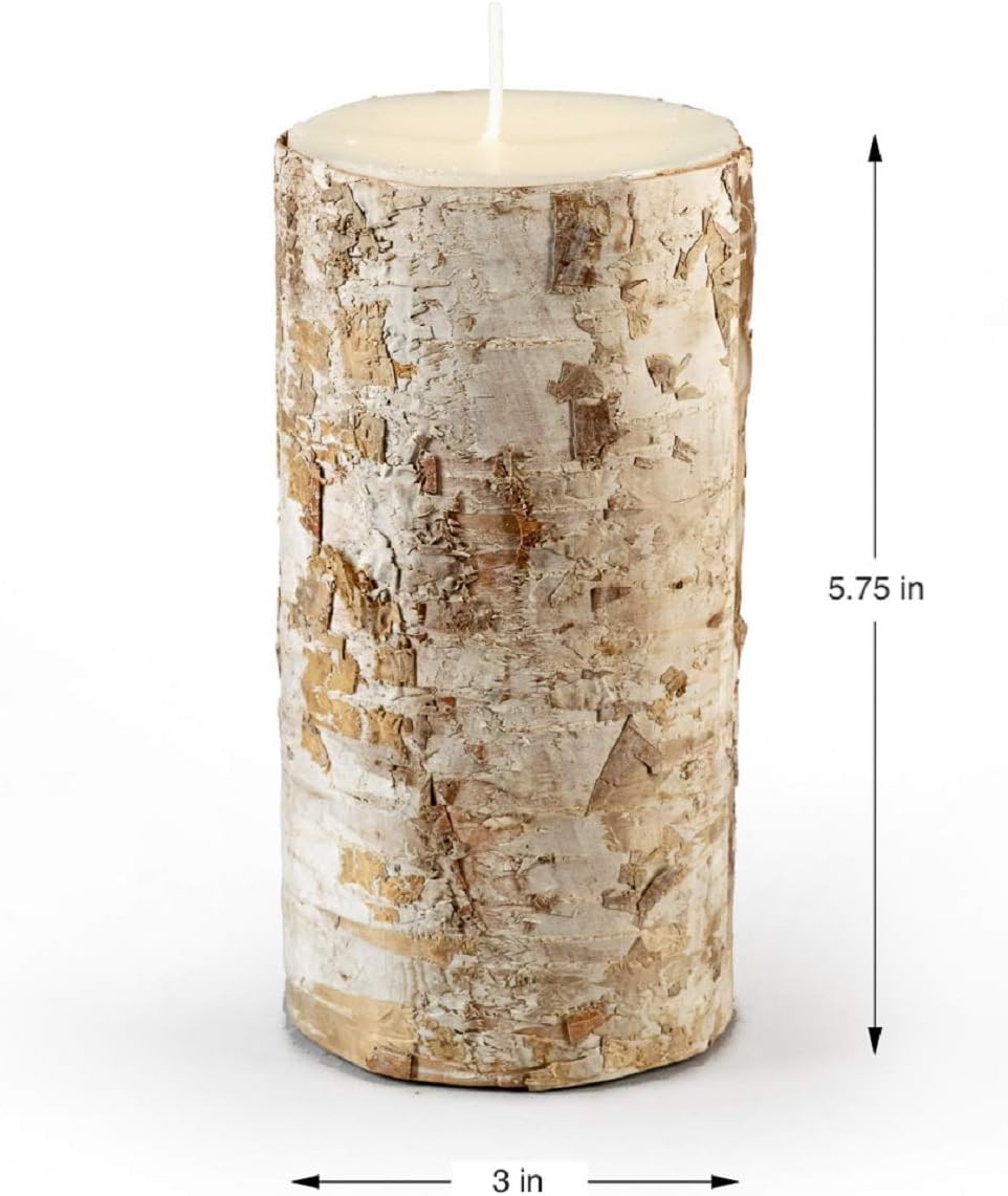 Serene Spaces Living Birch Bark Candle Set of 3