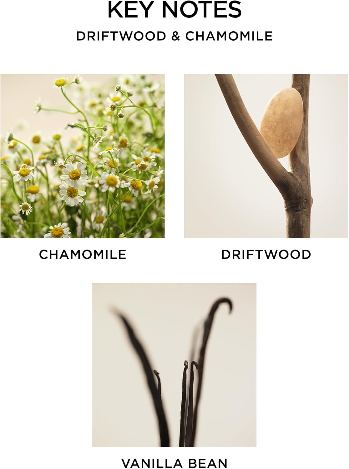 NEST New York Scented Jar Candle - Driftwood Chamomile