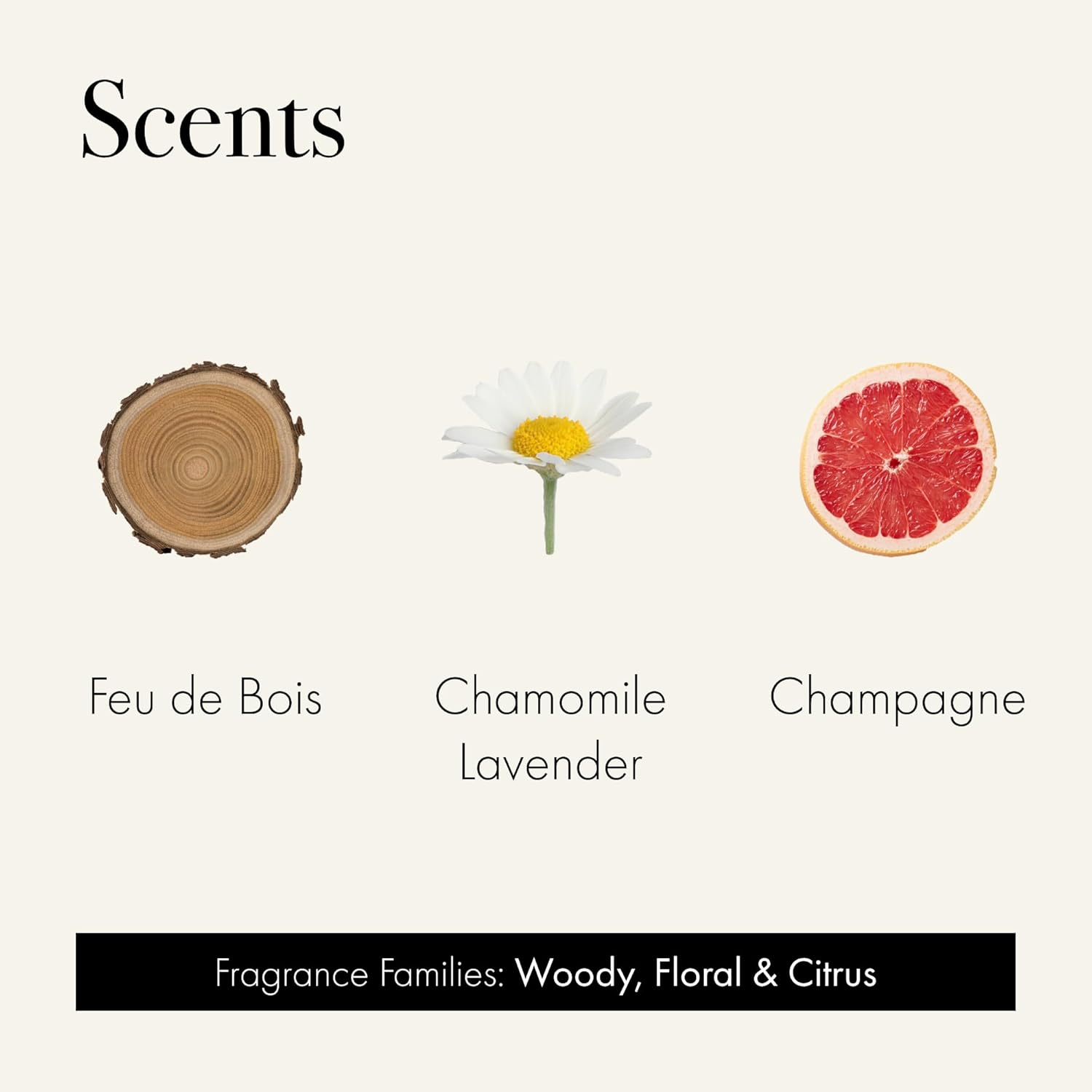 LAFCO New York Discovery Trio Candle Samples