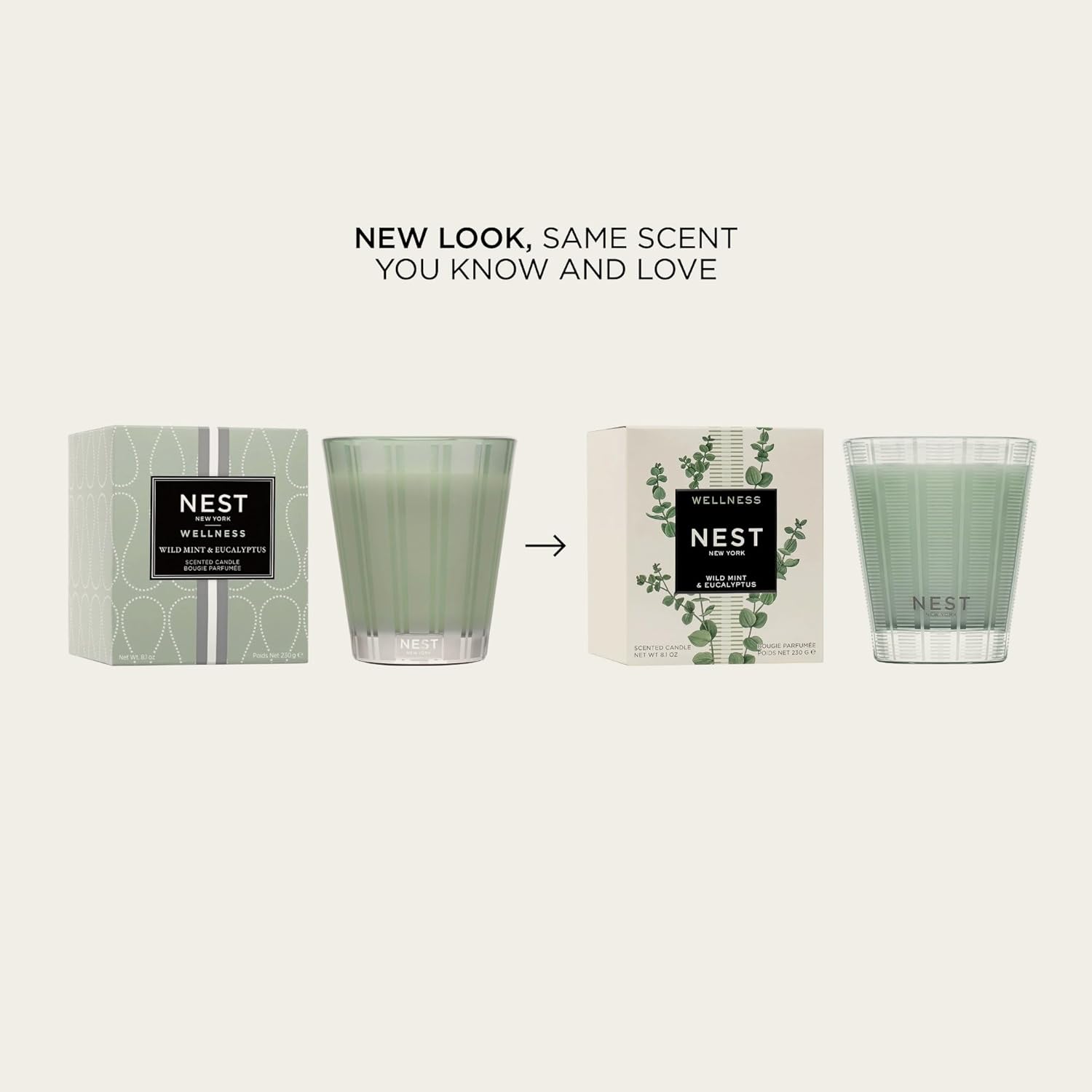 NEST New York Wild Mint Eucalyptus Jar Candle