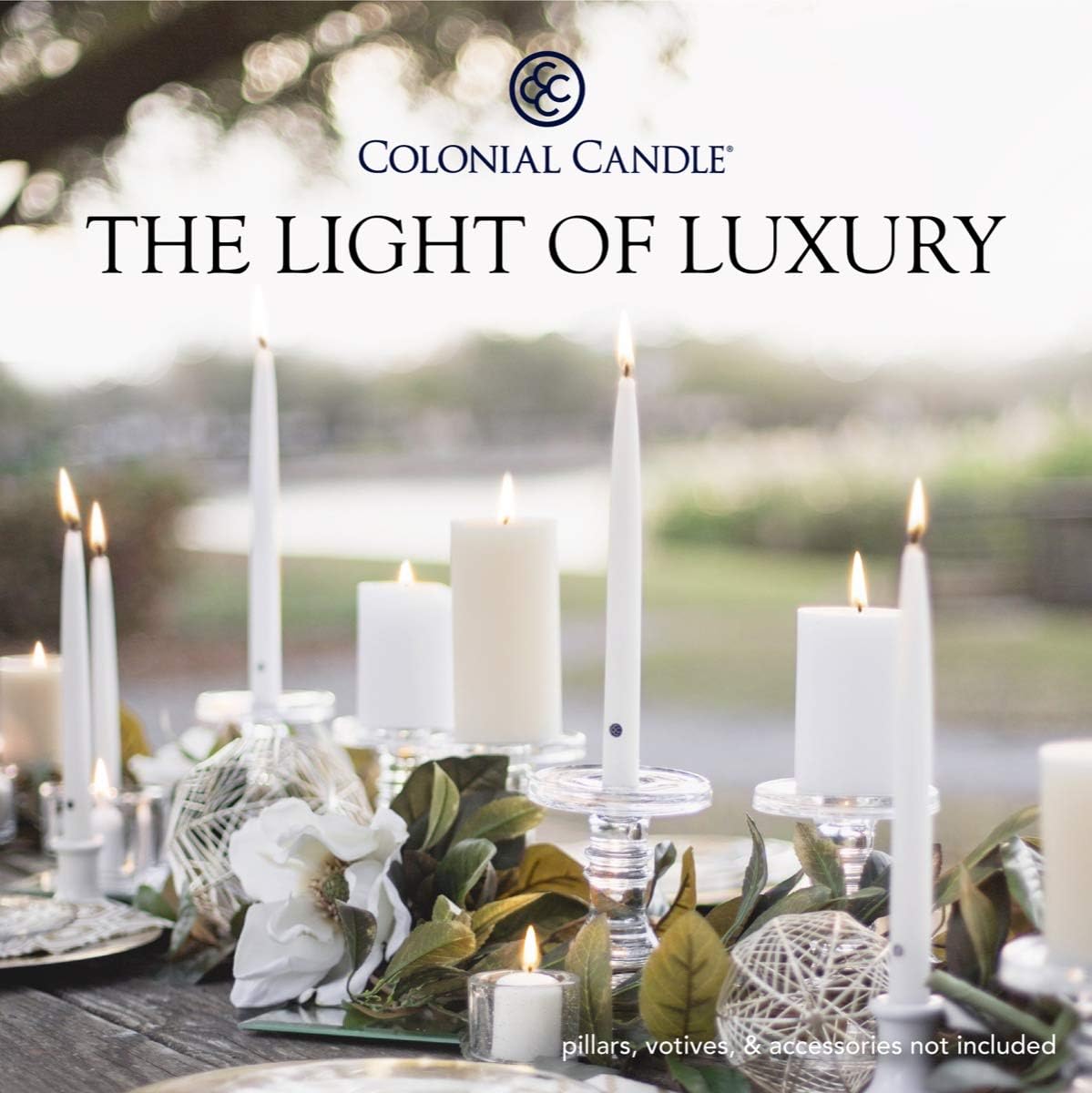 Colonial Candle Unscented Taper Candle 10 In Pack of 12
