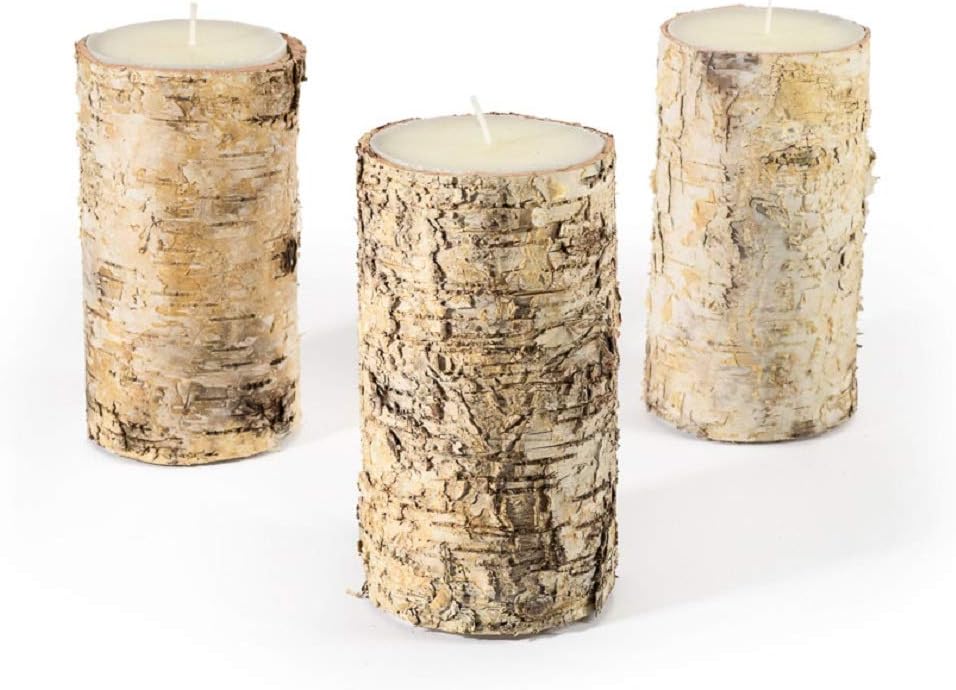 Serene Spaces Living Birch Bark Candle Set of 3