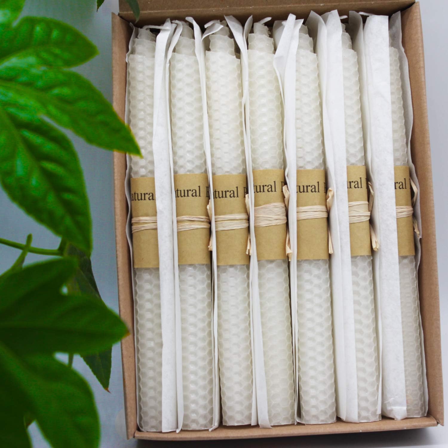Set of 14 Beeswax Taper Candles 9 Inch Smokeless Dripless Unscented