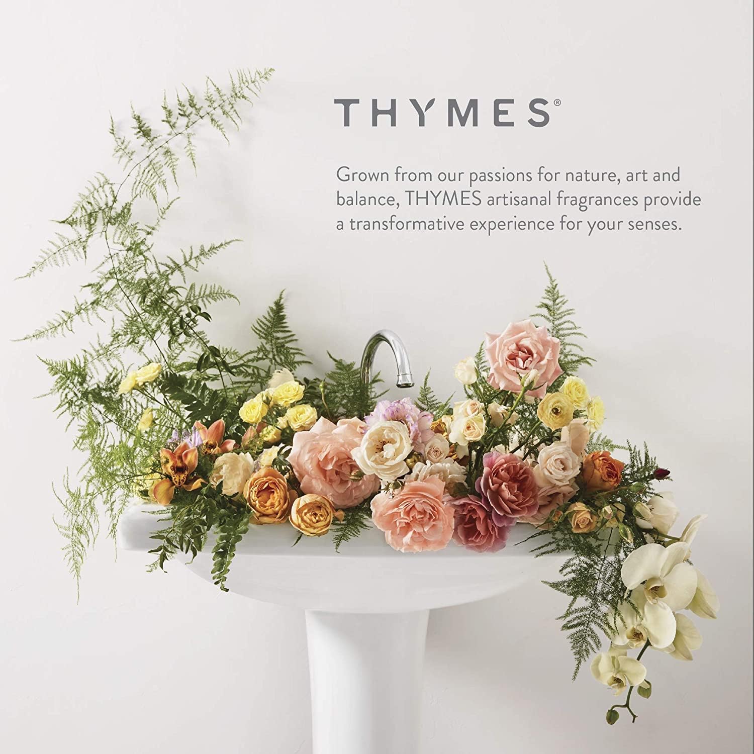 Thymes Frasier Fir Candle Tin with Gold Lid 65 oz