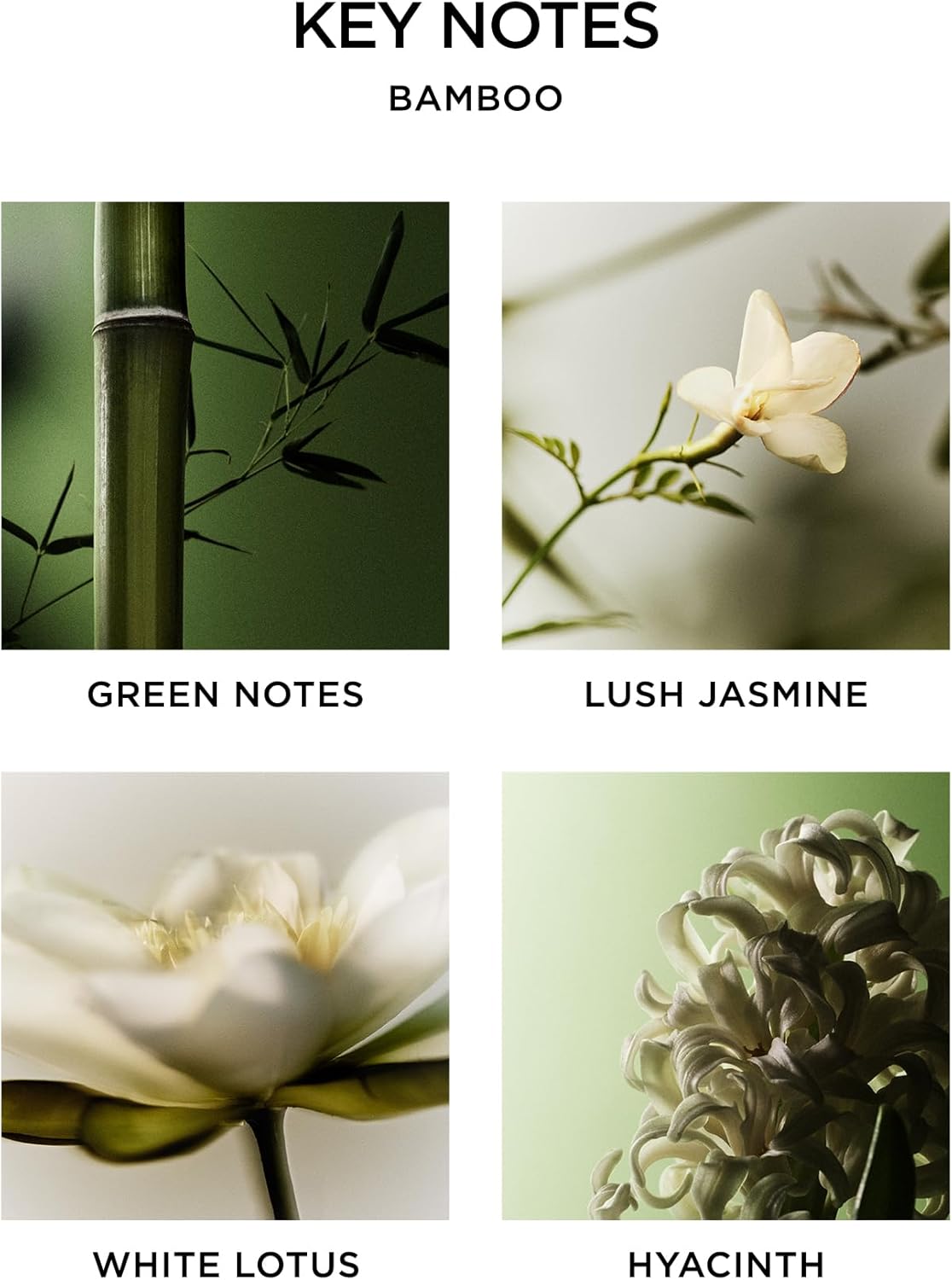 NEST New York Scented Candle in Bamboo Jar