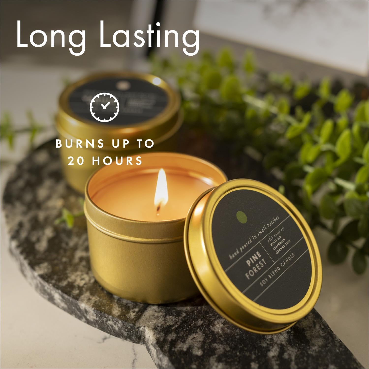 ScentAir Tin Candle 3 oz - Sage Pomegranate