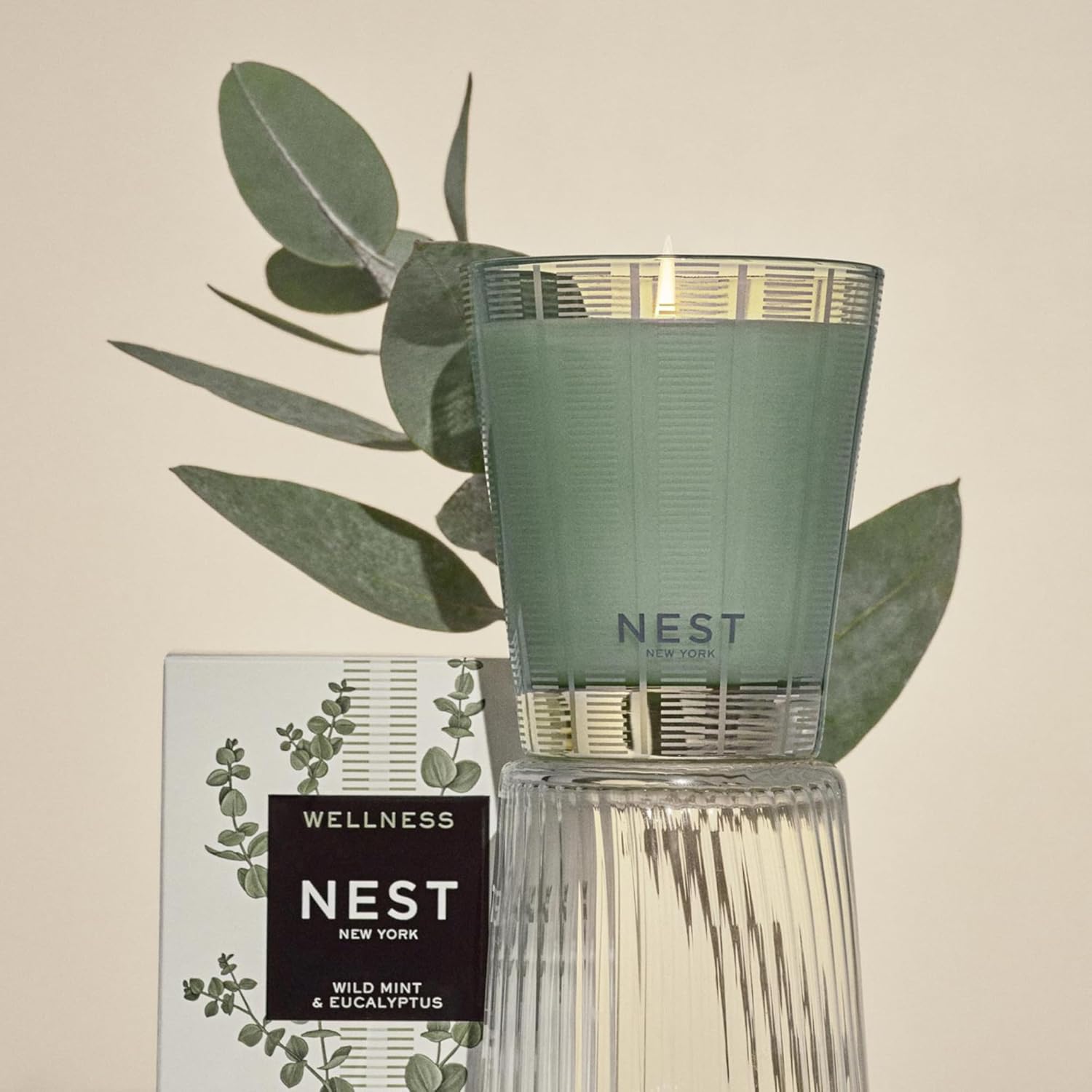 NEST New York Wild Mint Eucalyptus Jar Candle
