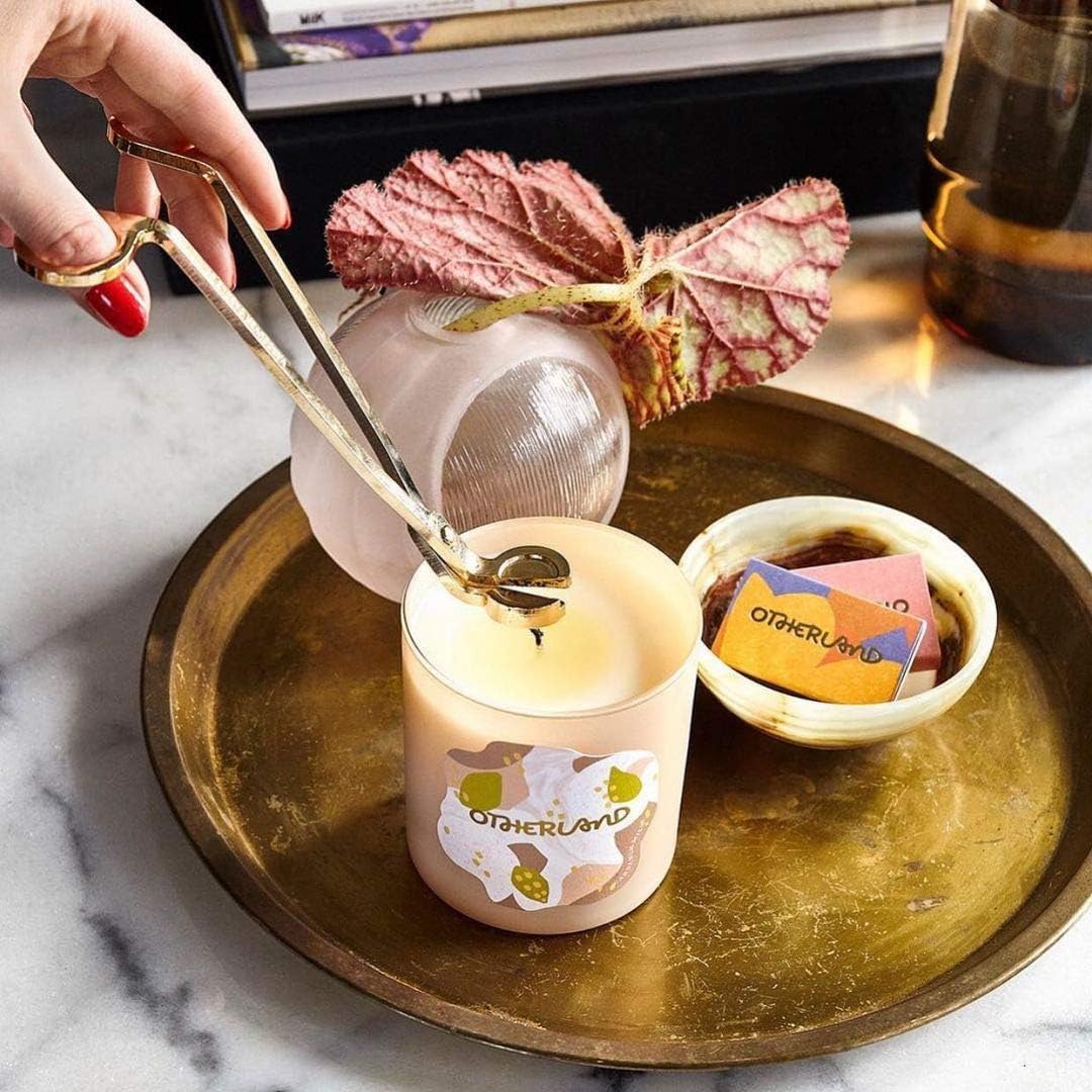 Vifoulal Candle Wick Trimmer with Built-in Debris Tray
