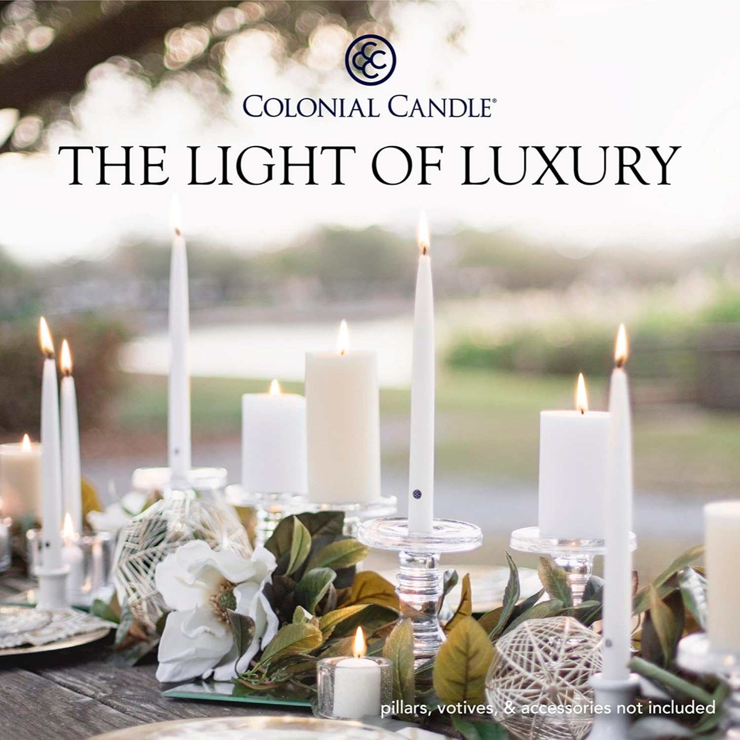 Colonial Candle Unscented Taper Candles Pack of 12 1