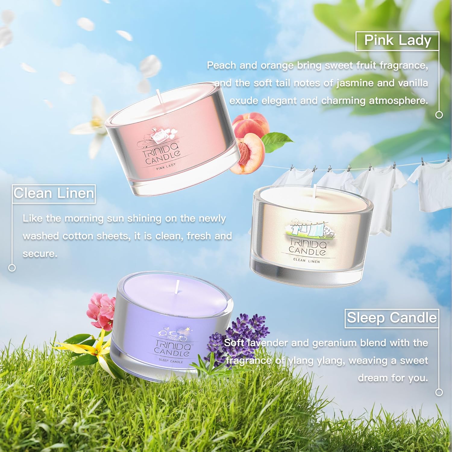 TRINIDa 6-Piece Candle Set with 120Hrs Burn Time