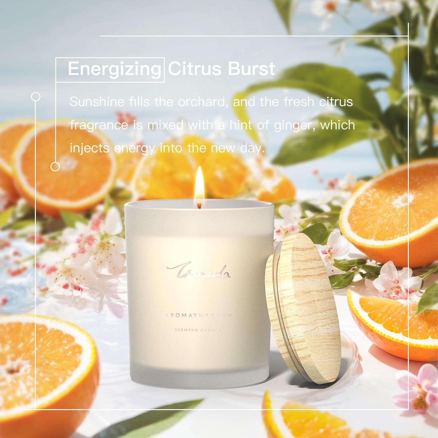 TRINIDa 6-Piece Candle Set with 120Hrs Burn Time
